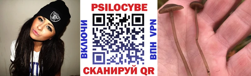 Псилоцибиновые грибы Psilocybine cubensis  Аткарск 